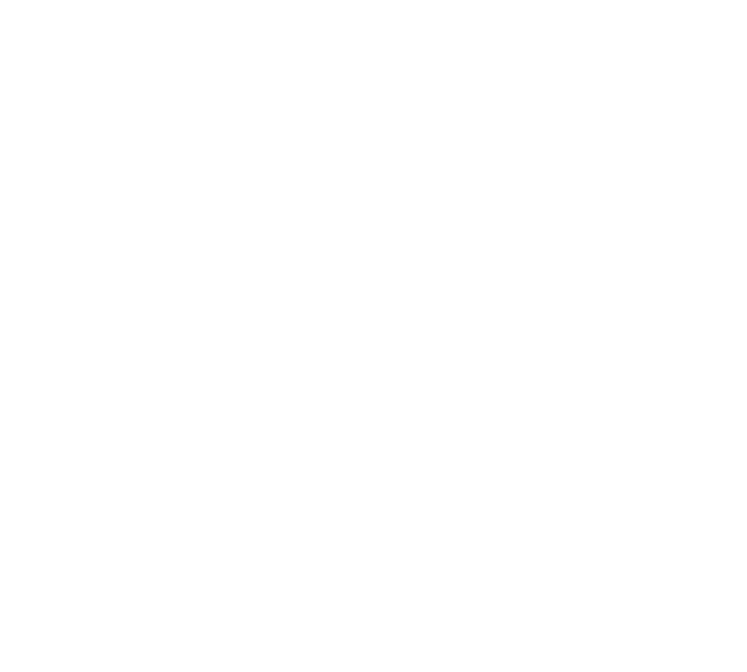 Investment